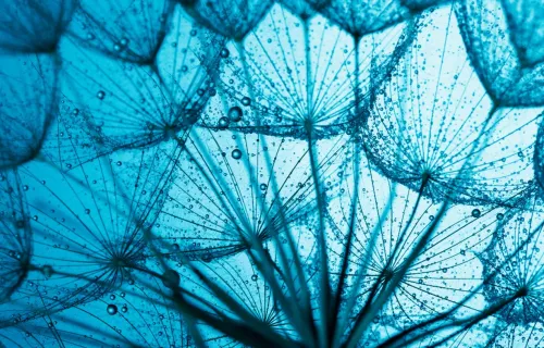 Predictive line graphs showing demand forecasting